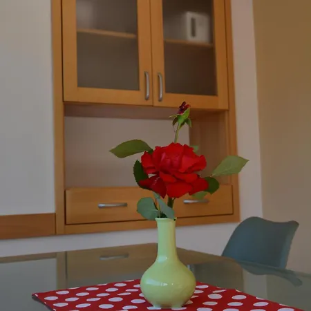 Apartmaji Grapa Most na Soči