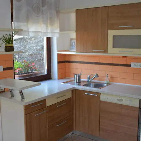 Apartmaji Grapa Lejlighed Most na Soči